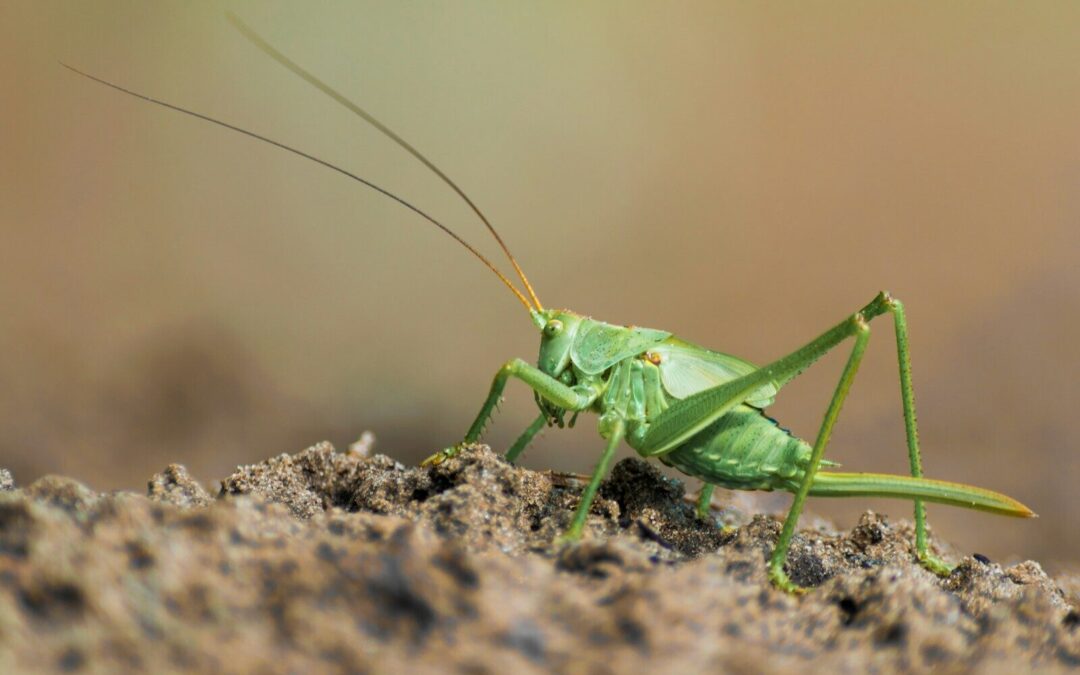 The Journey That Reminded Me I Still Can